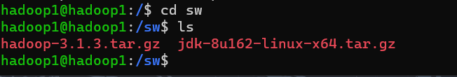 image-20240125195009050